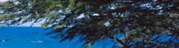 www.traveljungle.co.uk
